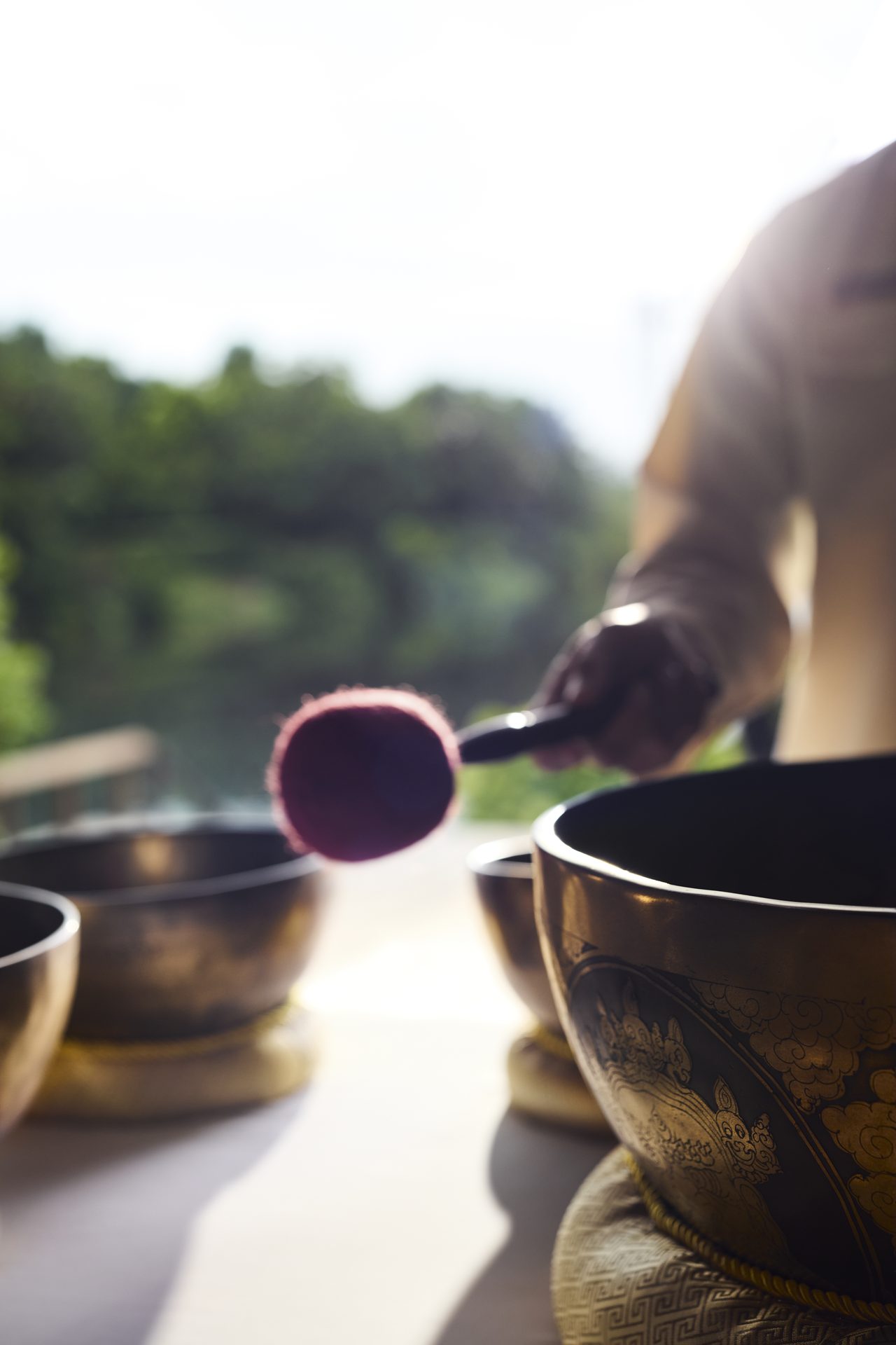 Longevity – The Science of Healthy Ageing